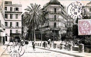 Alger - Rampe Bugeaud et Palmier - 1906